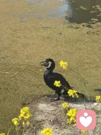 你现在要做的是长时间极致的独处，少言，大量睡眠。
不被灌输周围人的任何观点，极致的专注，按时吃饭，按时睡觉，戒掉你的自恋，少抱怨，少发狂，不要死在自己想象的风暴里。
就这样在这个春季慢慢养出一个全新的充盈的自己。旧人旧事已经开始幻灭，就像花瓣已经掉进土壤，因缘和合下，一切归零，过去的因果已完成，意义已经体现，那片花瓣回归大地，进入下一次轮回。
认栽，承担，及时抽离，不必回应，你也不需要他们了。所有的事都该翻篇了。你已经迈进了新的人生课题。有些新的事情在等着你，你将会走向新的远方，新的旅程，开始全新的世界。这个世界有你主宰，可以是你自己，也可以是天下所有。
治愈你的从来不是时间，而是自己。