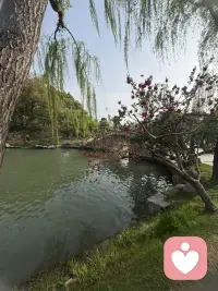 修行的最高境界，止语，止心。
不干涉因果。
越往上修越像个婴儿。
不会说话，不敢说话。
三年学说话，一生学闭嘴。
这就是上等的智慧。
止心是上等的自律。
真修者，从不干涉别人的因果，允许一切发生，全然接纳所有。
大道至简，凡在人心，大悟无言，你会发现真正悟出来的东西，语言无法描述。恍然大悟那一刻的欣赏。那一刻的欣喜与通透，那种感觉只有自己能懂。
你以为自己是窥探了天机，实则这是你命运的一环，你以为靠努力逆天改命，实则是你命中便有此大运。