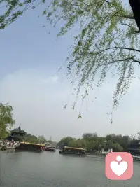 修行的最高境界，止语，止心。
不干涉因果。
越往上修越像个婴儿。
不会说话，不敢说话。
三年学说话，一生学闭嘴。
这就是上等的智慧。
止心是上等的自律。
真修者，从不干涉别人的因果，允许一切发生，全然接纳所有。
大道至简，凡在人心，大悟无言，你会发现真正悟出来的东西，语言无法描述。恍然大悟那一刻的欣赏。那一刻的欣喜与通透，那种感觉只有自己能懂。
你以为自己是窥探了天机，实则这是你命运的一环，你以为靠努力逆天改命，实则是你命中便有此大运。