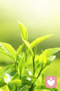 新的一天，不和自己较劲，允许情绪起伏，也允许自己平凡普通。配图