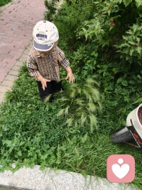 稚子寻到一株狗尾巴草，开心到蹦起，原来快乐如此简单！
