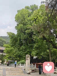 1. 生活难免有情绪内耗，来给力心理，慢慢和自己和解。
​
2. 允许情绪流动，也是好好爱自己的方式💛
​
3. 不必独自扛下所有心事，这里永远有倾听与陪伴。
​
4. 梳理心情，卸下疲惫，愿每一天都轻松自在。配图