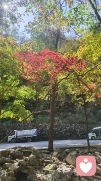 1. 生活难免有情绪内耗，来给力心理，慢慢和自己和解。
​
2. 允许情绪流动，也是好好爱自己的方式💛
​
3. 不必独自扛下所有心事，这里永远有倾听与陪伴。
​
4. 梳理心情，卸下疲惫，愿每一天都轻松自在。配图