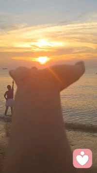 高敏感从来不是缺点，只是你太善良、太在意、太容易共情别人。往后余生，多照顾自己的情绪，少迁就别人的心情。配图