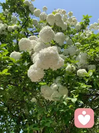 能平静地表达愤怒的人， 才是最厉害的人，稳定了情绪，智商才有上场的机会。配图