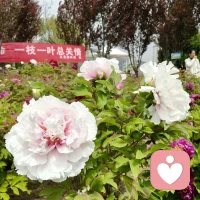 情绪是一股能量，它会来，就一定会走。配图