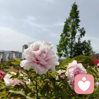 情绪是一股能量，它会来，就一定会走。配图