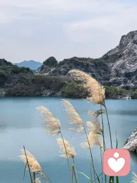 脚步慢一点也没关系，沿途的花不会因为你走得缓就不开放，属于你的风景从不缺席。配图
