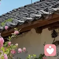 生命中最难的阶段不是没有人懂你，
而是你不懂你自己。
慢慢走，别着急，
和自己和解，才是一生的课题。配图