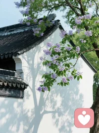 你一定要相信，人生真的会突然变好的。
你要好好吃饭、睡觉，收拾房间，
研究自己喜欢的事情。
高高兴兴把生命力养起来，
让自己浑身有劲，气血十足。

当你拥有明媚、张扬、向上的生命力的时候，
你就会发现生活的每一个瞬间，
都有无数众生，托举你向上走。 ​​​配图