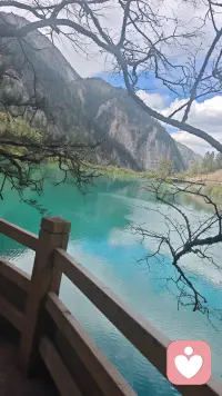 你一定要相信，人生真的会突然变好的。
你要好好吃饭、睡觉，收拾房间，
研究自己喜欢的事情。
高高兴兴把生命力养起来，
让自己浑身有劲，气血十足。

当你拥有明媚、张扬、向上的生命力的时候，
你就会发现生活的每一个瞬间，
都有无数众生，托举你向上走。 ​​​配图