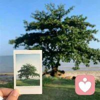 “原野不设边界，自由是第一张入场券。”