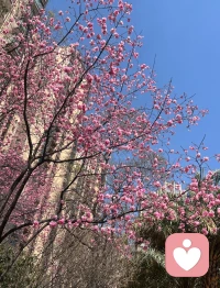 怎么不会累呢.心满欲望.两手空空.心事重重配图