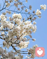怎么不会累呢.心满欲望.两手空空.心事重重配图