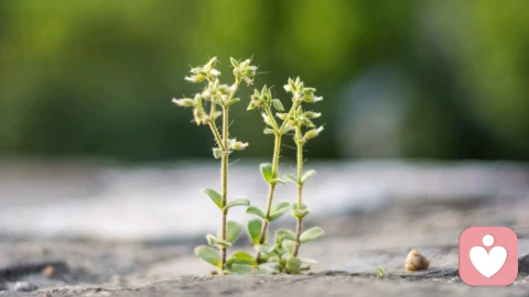 人生的第一课，接受父母不爱自己