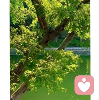 其实男人也会累，也会撑不住，也需要有人懂。
不用假装坚强，不用怕被说“矫情”，你也可以找个地方，好好发泄一下情绪。