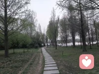 目前国内有1000多个情感倾诉平台，倾听师在平台用专业，专注，专心对待每个来访者，他们不图挣大钱就是为了让更多情感缺憾，情感受伤，情感无归处的人有个安全，温暖的港湾，来平台的倾诉者，你们要晓得他们是从空间降临的天使，是上天送给你们最好的朋友，你们一定要带着真诚相待的尊重他们的无私奉献。