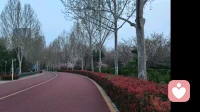 高情商温柔诉说想念你\n \n站在心理学角度，直白的说“我想你”易给对方情绪压力，而高情商的思念，是温柔共情、不索取回应，默默传递在意对方。\n \n真正的牵挂