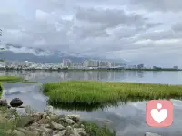 做人处处计较会心累，时时争锋会疲惫。学会让步，有理时不要不饶人；有气时不要呛人；有怨时不要针对人。不要把让步看成吃亏，会让步的人才是人生赢家。