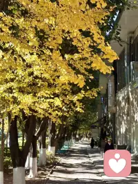 时间在变，人也在变。抓不住的要放手；留不住的要释怀。求不得的要认命；放不下的要和解。人生除了生死，其它的都是擦伤罢了。配图