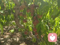 无力拿起的欲望，放下便是安好，无法解开的心结，释然便是重生，向前走，总有一程温暖，与你不期而遇！


   岁月如河，深浅皆需自渡，
   遗憾如风，聚散终成过往！