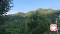 这个世界上，没有好坏，没有对错，只是大家处在不同的频道，允许自己做自己，允许别人做别人，让花成花，让树成树择其善者而从之，其不善者而改之，你会活的非常洒脱。
  ..生活没有十全十美，难免会留遗憾，花开成景，花落为诗，换个角度就会有不同领悟。与完事言和，与独处相安，自行，自醒，自清醒！配图