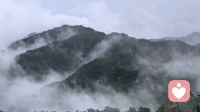 游上云台\n文/山水之间\n\n《渔家傲•观上云天瀑》（其一）\n\n石磴盘空危欲坠，荆棘缠袖行还退。忽见天光云影碎，千峰媚，飞瀑直下蛟龙睡。\n遥瞰碧潭琉璃翠
