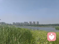 人生需要沉淀，宁静才能致远，生活没有当然，心甘才能情愿，岁月这场无声的修行，背悲欢交织，苦乐参半，多一份淡然，便多一份心宽，不必急于求成，时光自由答案！
用一颗平常心，渡世间纷扰，
以一抹微笑意，迎人生百态！