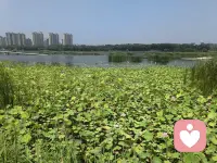 人生本就是一场缓缓前行的旅途，不必步履匆匆，不必事事求圆满。很多烦恼都来自执念太深。执着于得不到的东西，纠结于已逝去的过往，在纷纷扰扰里心神不宁。世事皆有安排，聚散皆有宿命，强求只会徒增疲惫！