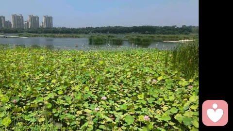 短暂亲密关系的后果