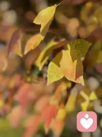 不要去触碰自己驾驭不了的东西，不是一路人怎么抄近路都没用。与其在别人的地盘上小心翼翼，不如在自己的世界里自由呼吸。
走好自己的路，对的人自会同行 ！