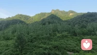 最近学到了一个词叫“战略性认怂”。不跟烂人烂事较劲，不跟杠精讲道理，不跟消耗我的人纠缠。你说1+1=5，那就是5，你开心就好。以前觉得认怂是丢人，后来发现把时间浪费在蠢事上，才是真丢人。成年人的智慧，是知道什么时候该转身走人。认怂是策略，转身是智慧，不争是格局，省下时间是赚到！
