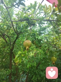 不属于自己的东西不必争，属于自己的东西不用争，经历越多越容易看开。
     人这一生其实很短，与其在渴望中身心疲惫，不如在知足中过好一生，以前想要是因为不懂，现在想要是因为看懂。
     生活不是这样就是那样，总之不是你想的那样，所以得知坦然，失之淡然，顺其自然，余生静而不争，也是一种大智慧！