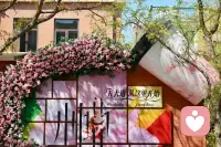 我与春风皆过客 ，
唯有海棠解风情。配图