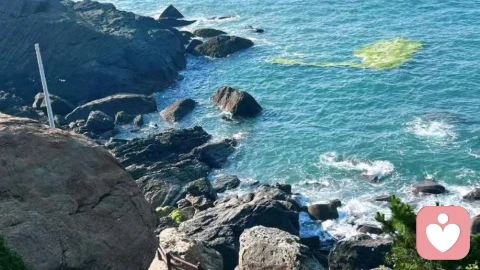 最近有点迷茫，心事也不知道跟谁说，如果你也刚好心情不好，我们可以相互聊聊，相互鼓励，一起慢慢变好