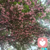 大家好，我是平台为您推荐的专业心理咨询师和倾听师妮妮，温暖且有力量。

我在这里认真听你说，这里很安全，你可以慢慢讲，不用着急。
不管是什么情绪、什么困扰，我都愿意接住你。
你想说什么都可以，我会一直陪着你，感恩遇见。配图