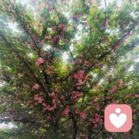 大家好，我是平台为您推荐的专业心理咨询师和倾听师妮妮，温暖且有力量。

我在这里认真听你说，这里很安全，你可以慢慢讲，不用着急。
不管是什么情绪、什么困扰，我都愿意接住你。
你想说什么都可以，我会一直陪着你，感恩遇见。配图