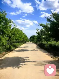 假期愉快配图
