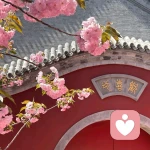 安静的倾听的头像