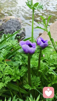 两个人的沟通其实是六个人在沟通：别人眼中的你，你以为的你，实际的你，你以为的他，他以为的他，实际的他。人和人之间的语言或者文字沟通都可能会产生歧义或者误解。