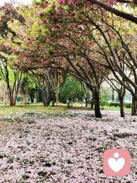 人心生一念，天地悉皆知。
善恶若无报，乾坤必有私。
人生中一件件事就是一个个回旋镖，所谓的好的和坏的，最终都会反弹回来。配图
