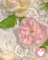 生命如此短暂我们没有时间 去争吵、道歉、伤心、斤斤计较 我们只有时间去爱， 一切稍纵即逝