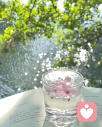 如果你赶不上凌晨五点的日出 
不妨看看傍晚六点的夕阳 
我的意思是任何时间都不晚