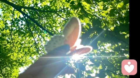 很多问题的根源都是不懂慢慢走