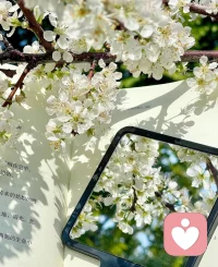 🌿生为冰山， 就该淡淡地爱海流爱风 并且在偶然接触的时候 全心全意地爱另一块冰山。
——王小波