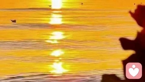 投射～家庭篇\n\n这往往是潜意识的自我保护，目的是避免体验内心的不舒服或羞耻感。\n\n家庭中典型的投射场景：\n\n· 父母投射给孩子：最常见。一位父亲内心