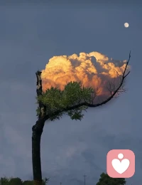 你是那么好的一个人，你配得上更美的风景！配图