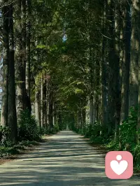 感受大自然的生命力