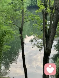 情绪不需要被管理，就像四季不需要被控制。春天允许积雪融化，夏天允许暴雨倾盆，秋天允许落叶纷飞，冬天允许万物寂静。你的情绪也该有舒展的权利不必永远晴朗，但求真实流淌。配图
