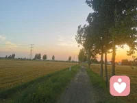 精神病院长说：你至少必须拥有一个不良嗜好来拯救自己，这是维持内在生命力，不至于枯竭的源泉，人要有点“不太想正确的热爱”用来接住那些撑不住的时刻